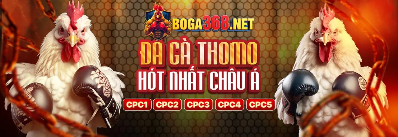 Đá gà xoso6688 trực tuyến với những trận đấu kịch tính